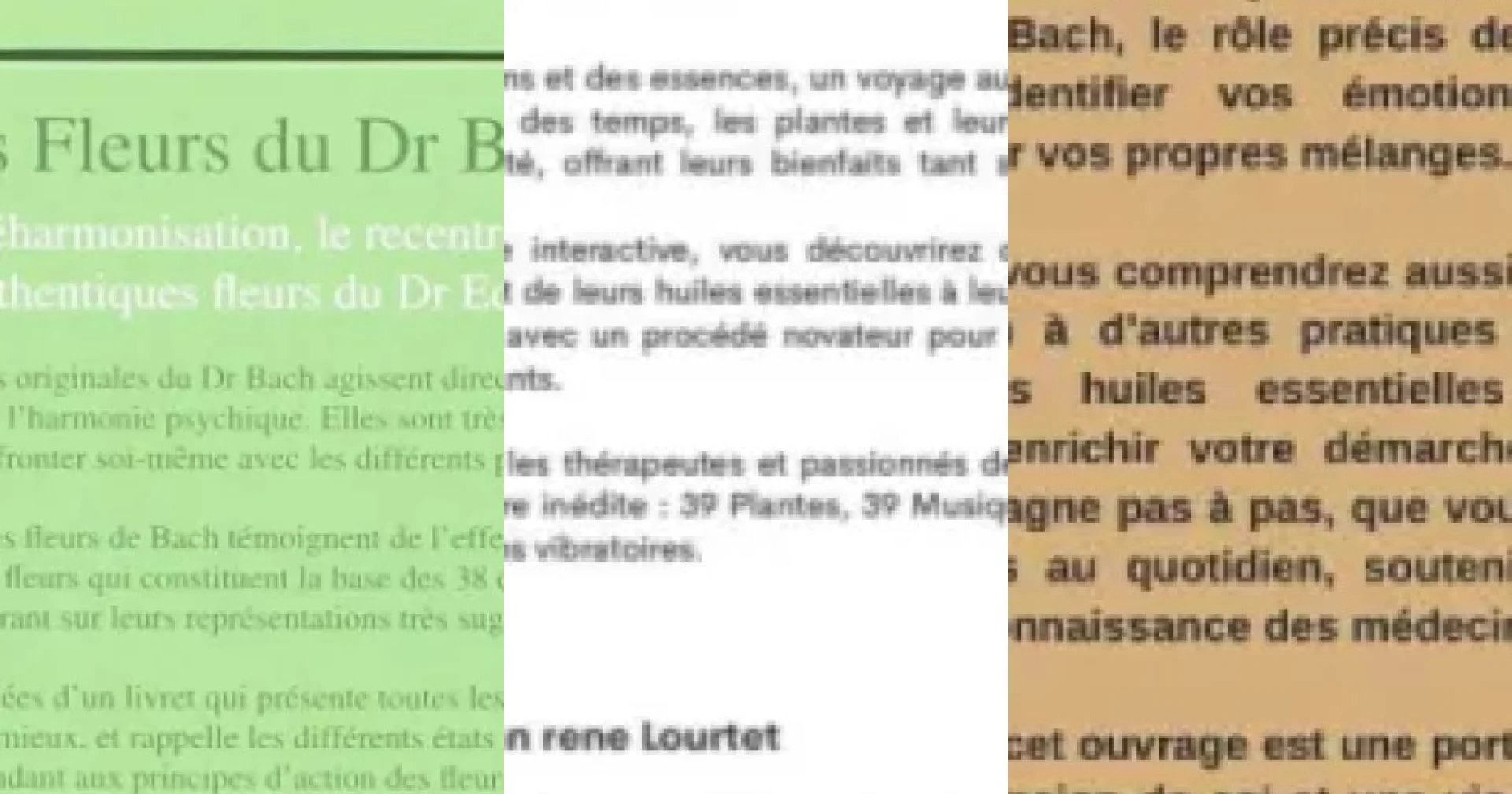 Top Guides complets des fleurs de Bach
