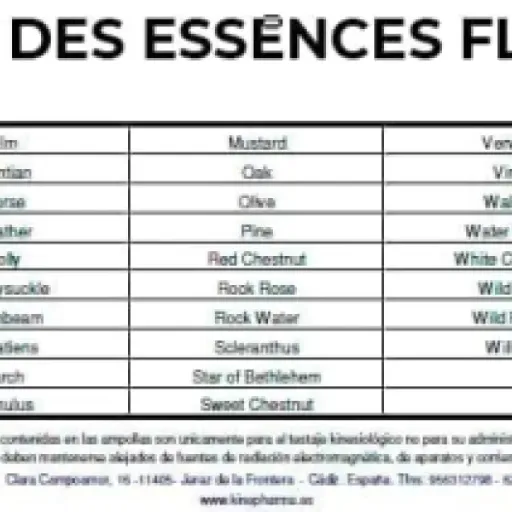 Test Kit de 38 Essences Florales KINEPHARMA : un outil pratique pour les séances, mais assez basique