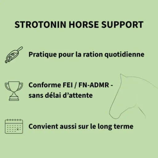 Test Horse Support Strotonin : un coup de pouce pour chevaux stressés, sans miracle
