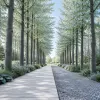 Hornbeam : la Fleur de Bach de la fatigue avant l'effort, pour retrouver l'entrain du quotidien