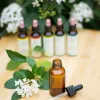 Apaiser le stress avec la tisane de verveine : comment une simple infusion soutient l’équilibre émotionnel