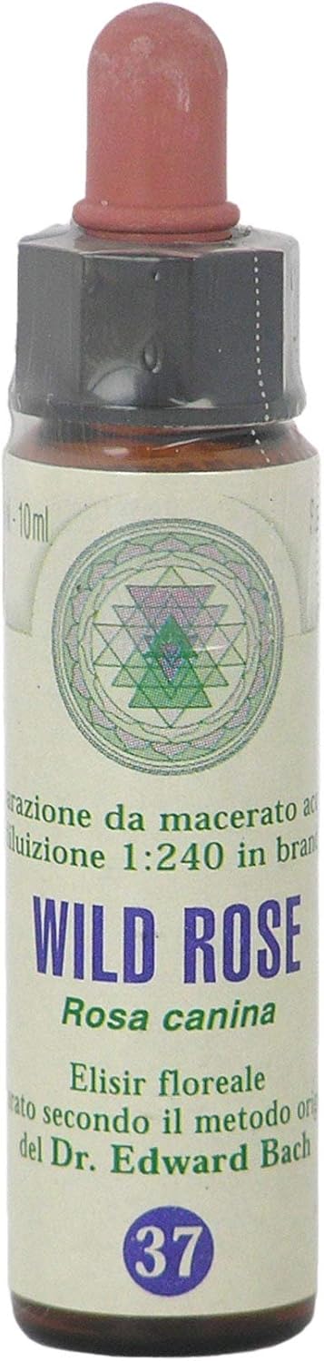 Wild Rose n° 37 Fleur de Bach farmaflor, 1 Flacon Comtpe Gouttes 10ml - Made in Italy