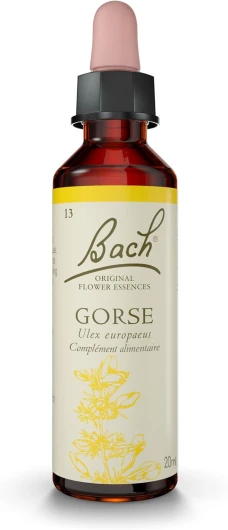 Gorse No 13 - Pour plus d'espoir - Aide à être plus optimiste et de foi - Élixir floral naturel pour le bien-être émotionnel - Compte-Gouttes 20ml - Vegan 20 ml (Lot de 1) Espoir