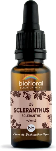 28 Scleranthus, Scléranthe BIO DEMETER - Fleur de Bach Authentique - Volonté - Compte-gouttes 20 ML