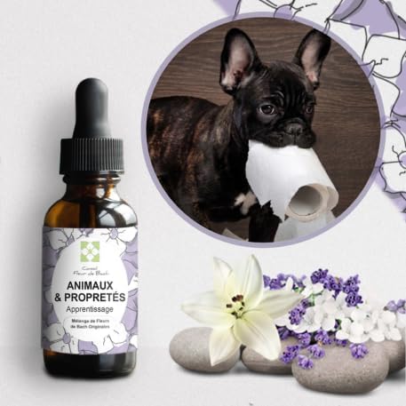 Elixir floraux"Animaux et Propreté"-Vous souhaitez améliorer la Propreté de votre Chien ou Chat? Ce Mélange est une solution naturelle pour rendre propre votre animal.Fl30ML(Sans Alcool) …