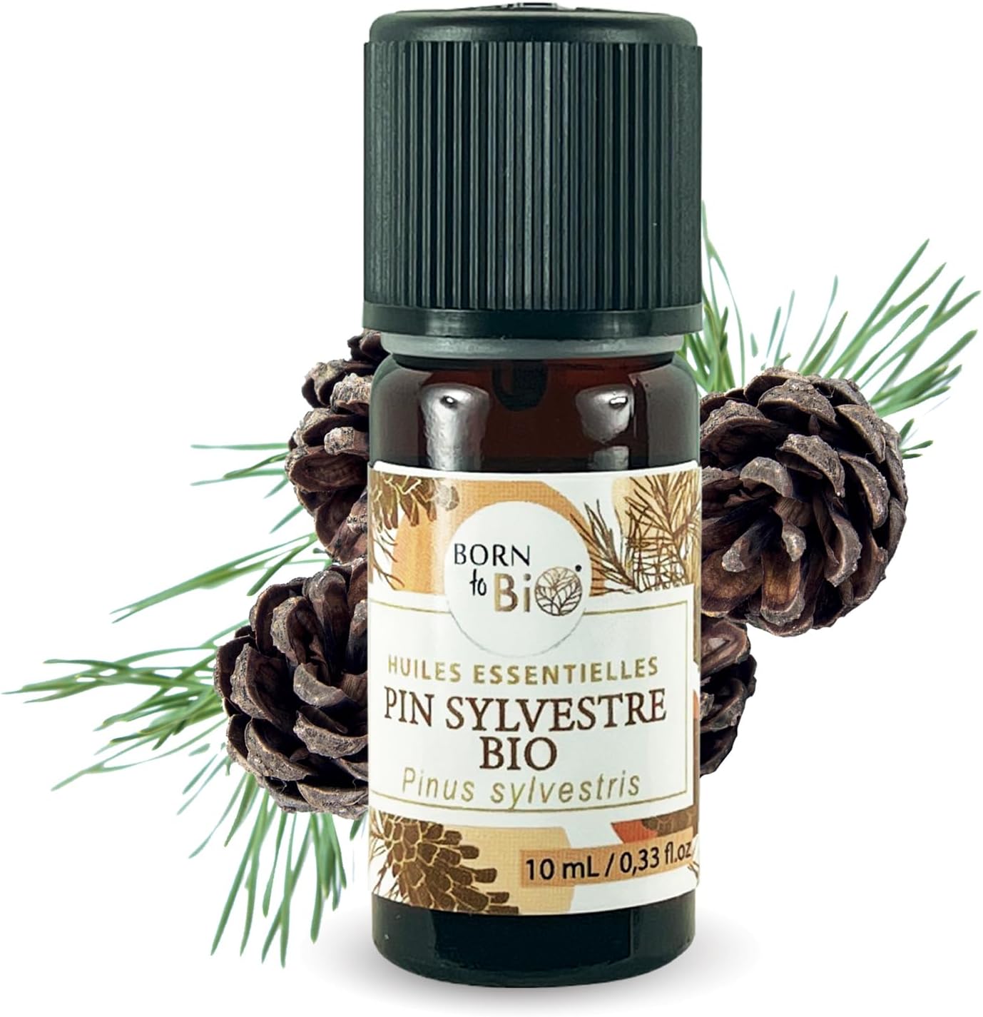 Huile Essentielle de Pin Sylvestre Bio - 100% Pure et Naturelle - Tonique Respiratoire et Stimulante - Certifié AB - 10ml Pin sylvestre 10 ml (Lot de 1)