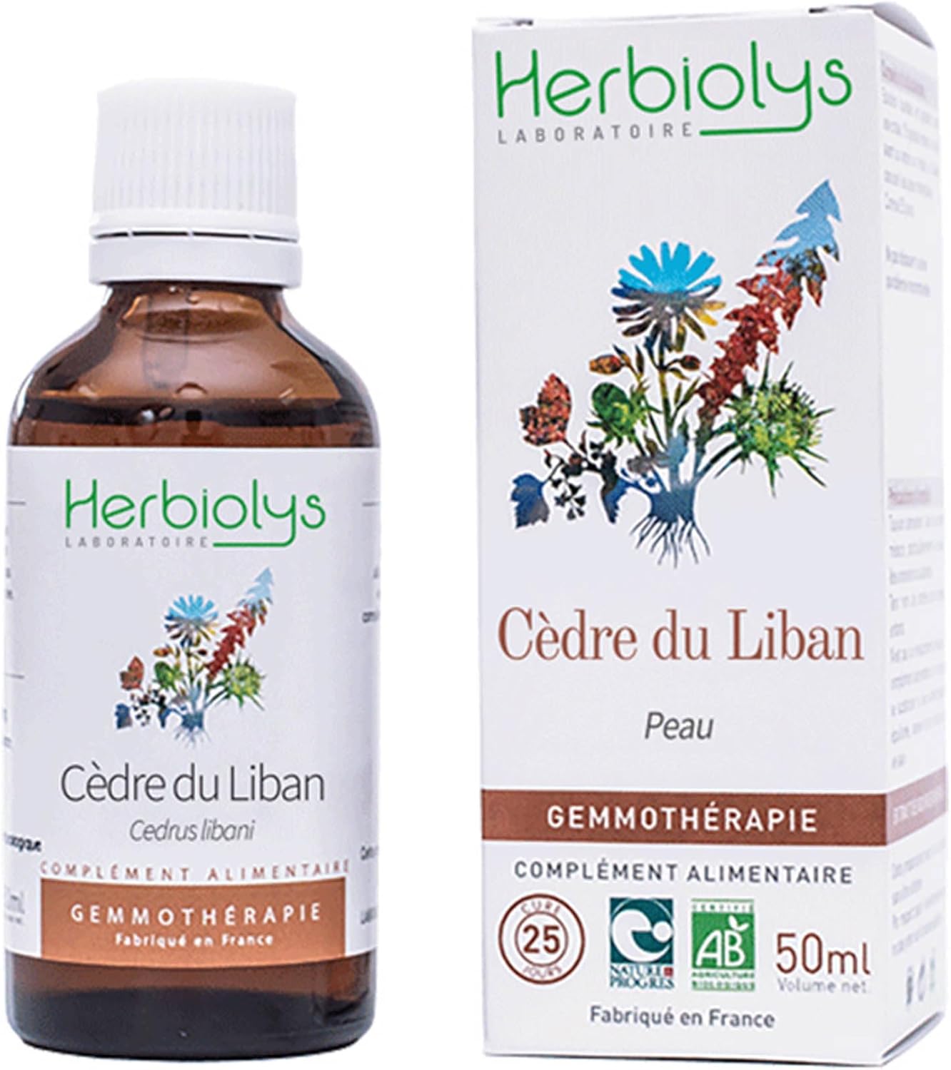 Herbiolys - Macérat de bourgeons Bio - Cèdre de Liban (Cedrus libani) - Peau - Gemmothérapie Bio - 50 ml Cèdre de Liban 50 ml (Lot de 1)