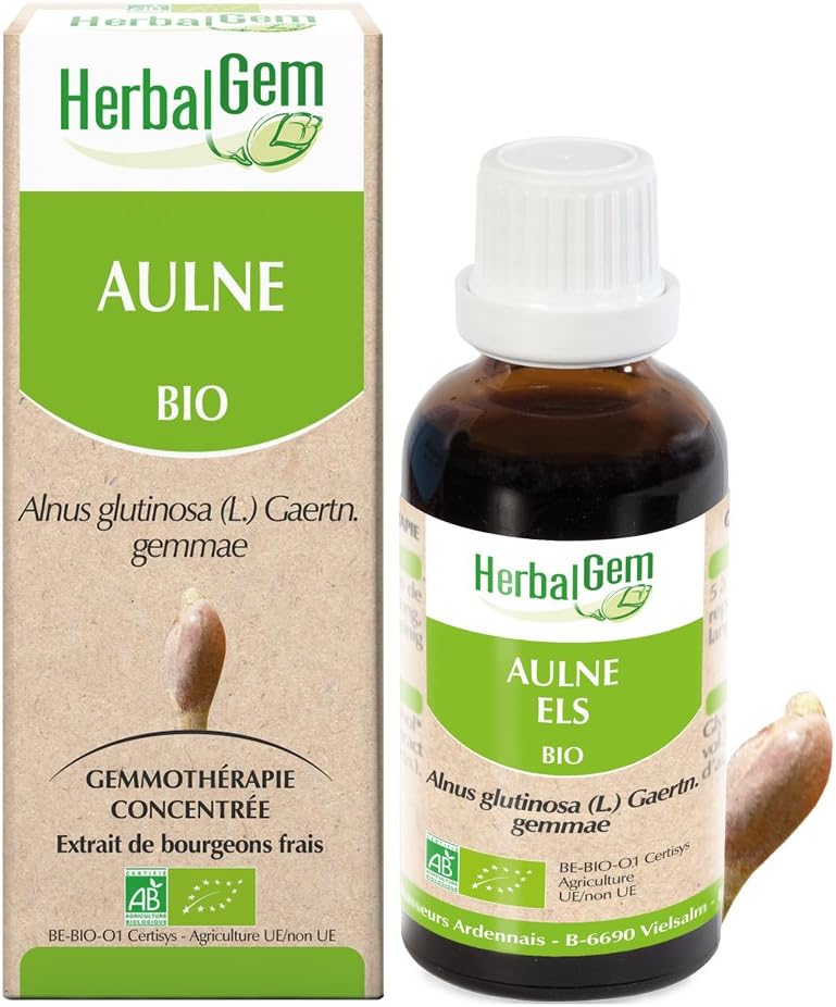 Macérât-Mère - Aulne Bio - Complément Alimentaire Gemmothérapie Concentrée - Extrait De Bourgeon Frais - Pour Défenses Naturelles & Circulation - Vegan - 30 ml