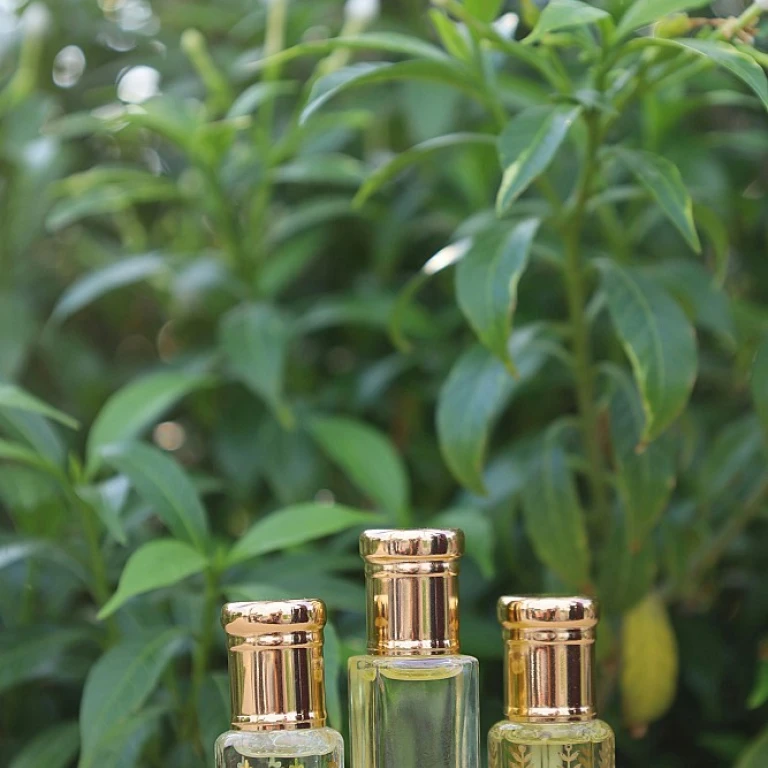 Avis sur l'utilisation des fleurs de Bach pour le stress et l'angoisse