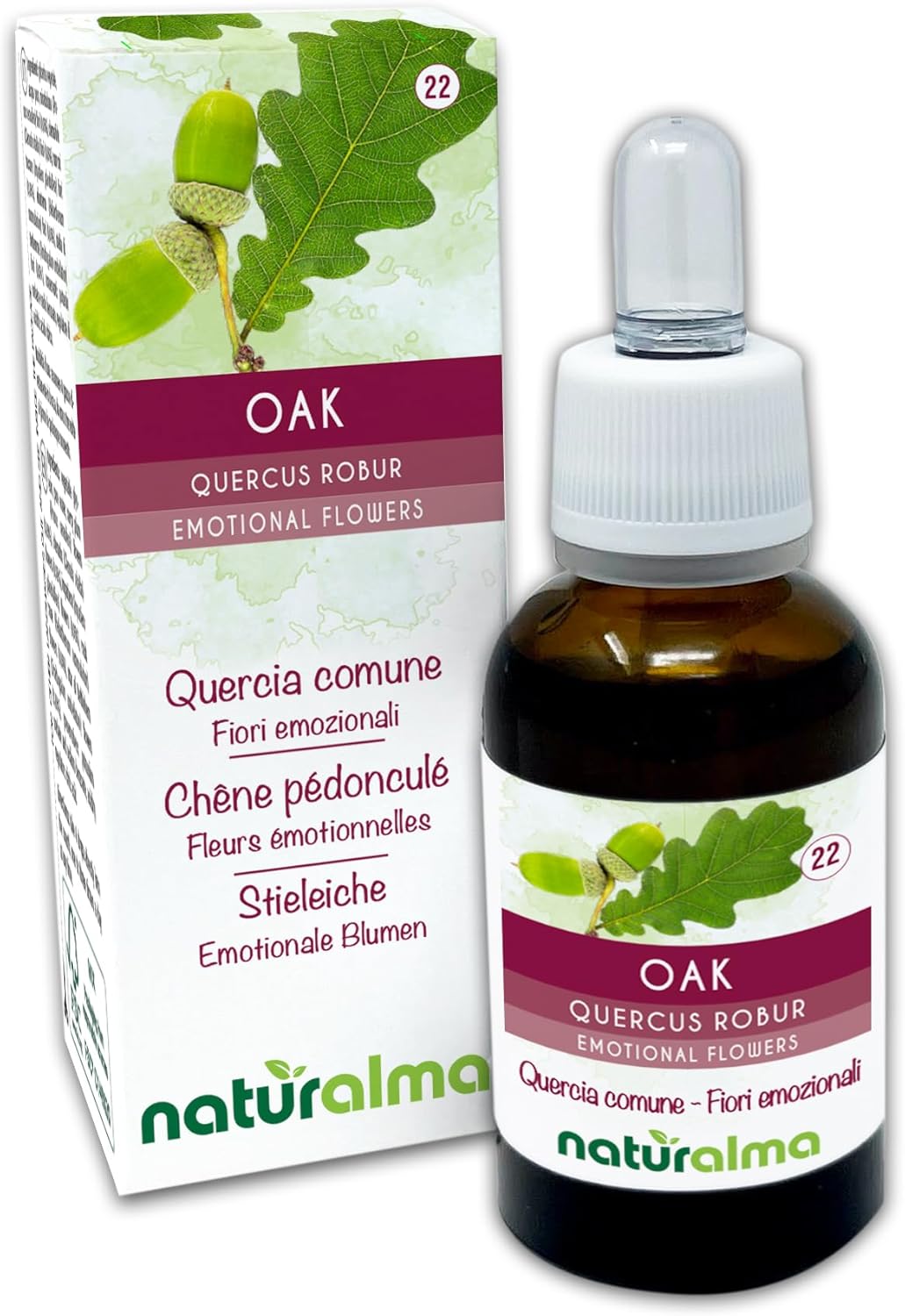 Oak ou Chêne pédonculé (Quercus robur var - pedunculata) Remèdes floraux Naturalma - Gouttes 30 ml - Extrait liquide sans alcool - Essences florales - Vegan et sans alcool