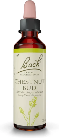 FLEURS DE BACH ORIGINAL - Chestnut Bud No 7 - Pour plus de sagesse - Aide à tirer les leçons de ses expériences - Élixir floral naturel pour le bien-être émotionnel - Compte-Gouttes 20ml - Vegan 20 ml (Lot de 1) Sagesse