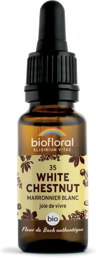 35 White Chesnut, Marronnier Blanc BIO DEMETER - Joie de Vivre - Fleur de Bach Authentique - Compte-gouttes 20 ML