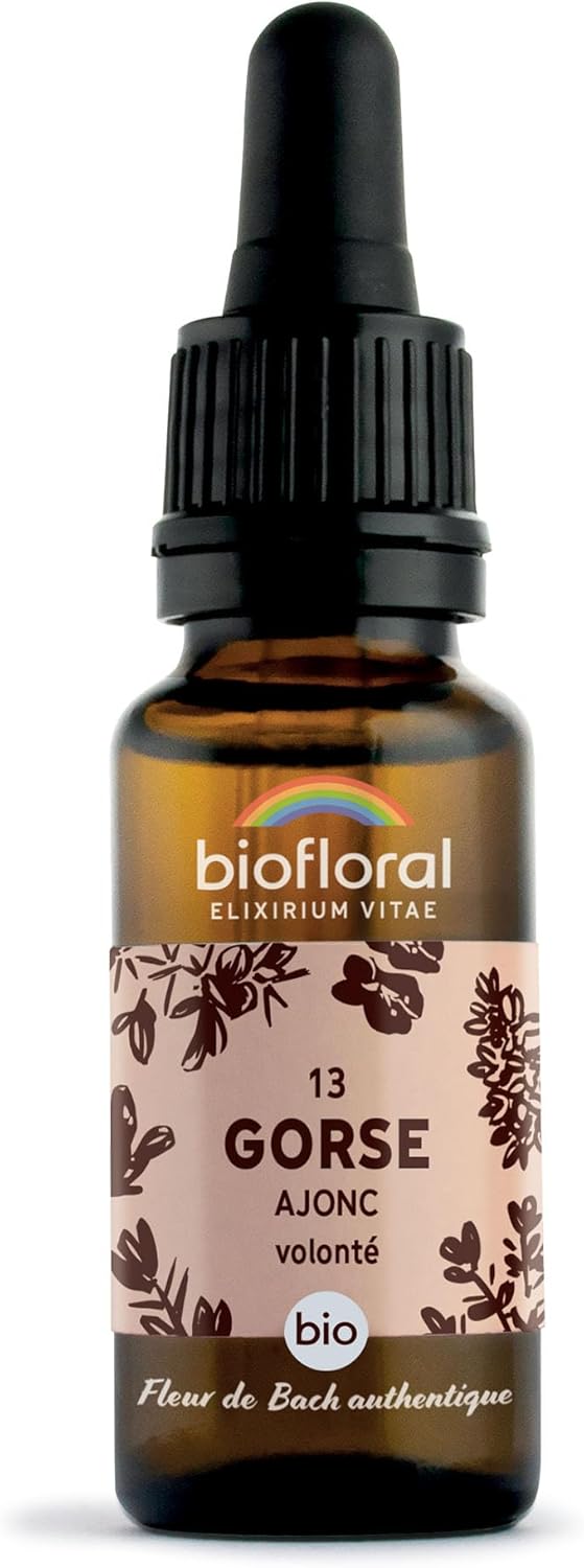 Gorse 13 Fleur de Bach Elixir Floral du docteur Bach Ajonc en Compte-Gouttes Force et Volonté 20 ml