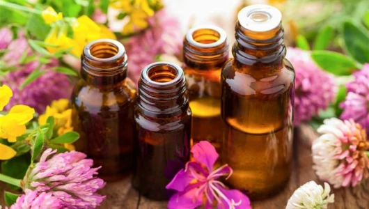 71V2gPVzk L._AC_SL1500_