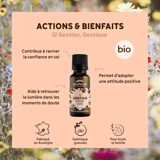 81pnio-c27L._AC_SL1500_