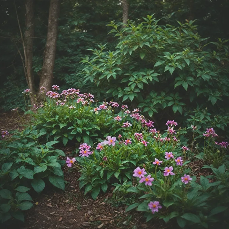 Les bienfaits des fleurs de Bach de Deva