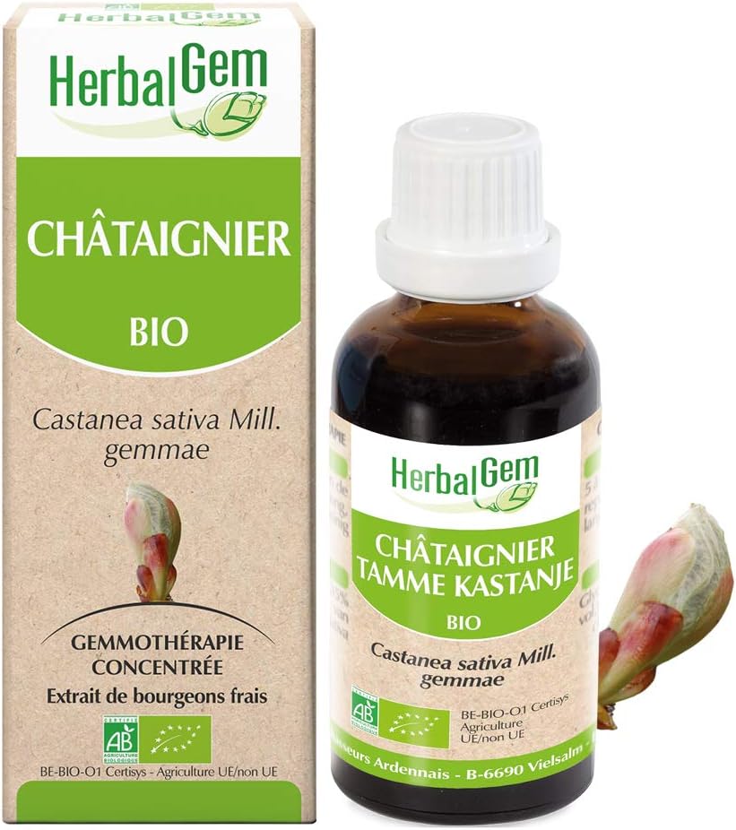 Châtaignier Bio - Complément Alimentaire - Extrait De Bourgeon Frais - Antioxidant, Peau et Intestins