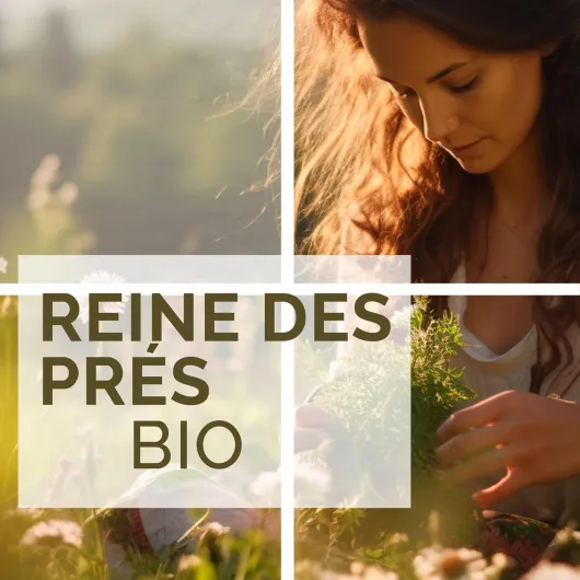 71WSyy2HwPL._AC_SL1500_