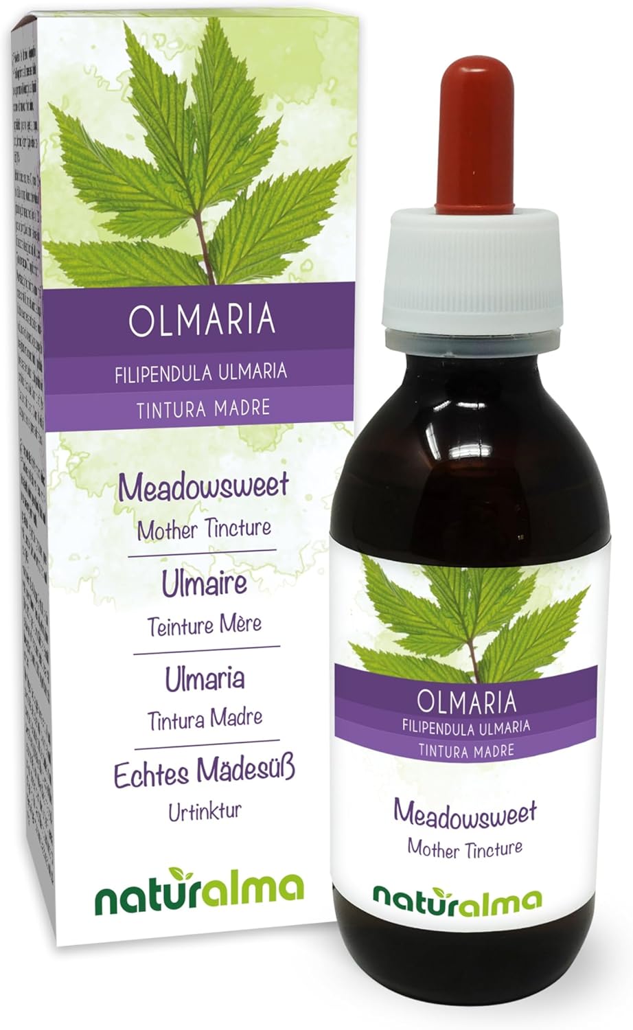 Ulmaire ou Reine-des-prés (Filipendula ulmaria ou Spirea ulmaria) fleurs Teinture Mère sans alcool Naturalma - Extrait liquide gouttes 120 ml - Complément alimentaire - Végétalien ou végan Sans alcool 120 ml (Lot de 1)