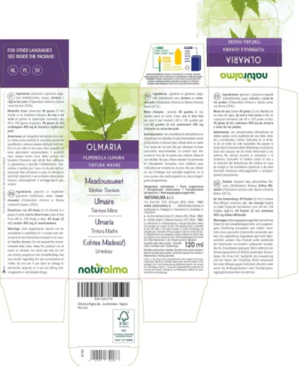 91XK1qN3eSL._AC_SL1500_