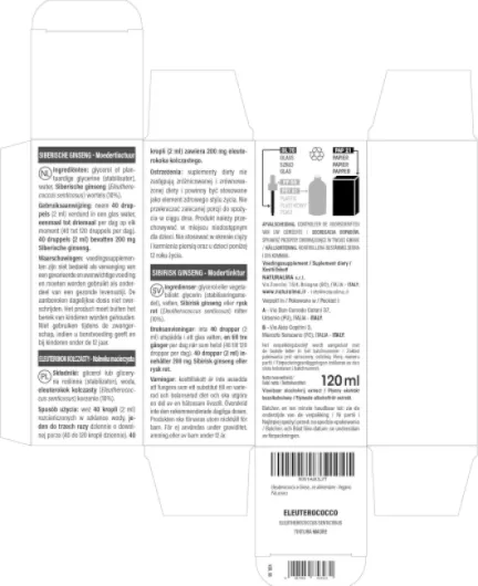 81XqnlfUCWL._AC_SL1500_