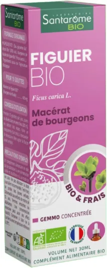 Figuier Bio - Macérat de bourgeons - Bourgeon de Figuier Bio - Bourgeon Frais - Gémmothérapie - Complément alimentaire anti stress - Flacon de 30 ml - France