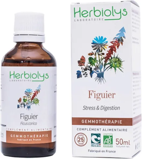 Herbiolys - Macérat de bourgeons Bio - Figuier (Ficus caricia) - Stress & Digestion - Gemmothérapie Bio - 50 ml Figuier 50 ml (Lot de 1)