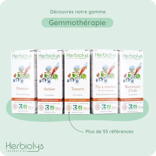 71gVvqKIZUL._AC_SL1500_