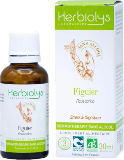 Macérât De Bourgeon Bio - Sans Alcool - Gemmothérapie - Flacon de 30 ml - Herbiolys (Figuier) Figuier 30 ml (Lot de 1)