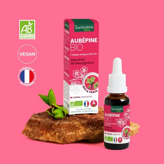 61AuPgJP 9L._AC_SL1400_