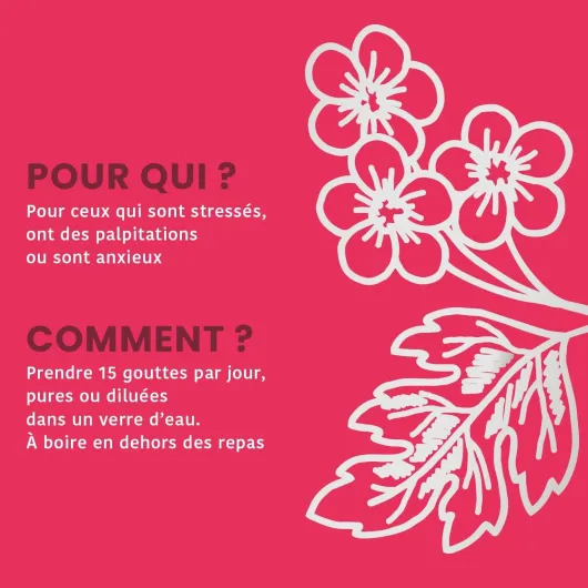 61tC2-3lxmL._AC_SL1400_