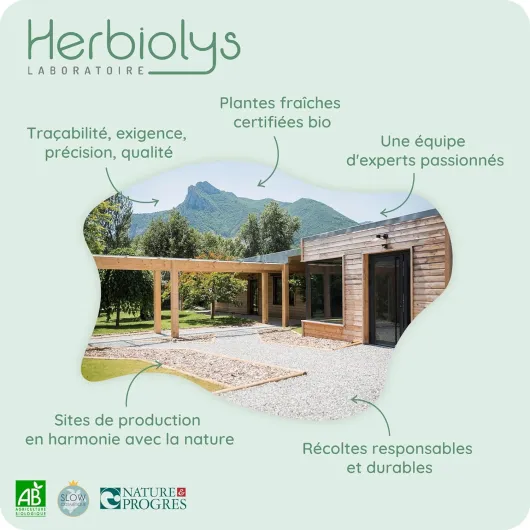 81-soBH3eJL._AC_SL1500_