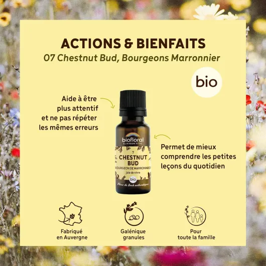 81YUifSQNQL._AC_SL1500_