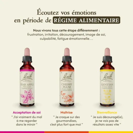 61soMjIfjJL._AC_SL1000_