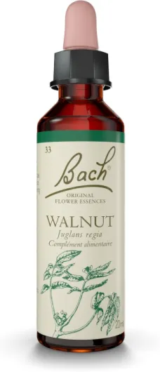 FLEURS DE BACH ORIGINAL - Walnut No 33 - Pour plus d'adaptabilité - Aide à mieux vivre les changements de vie - Élixir floral naturel pour le bien-être émotionnel - Compte-Gouttes 20ml - Vegan