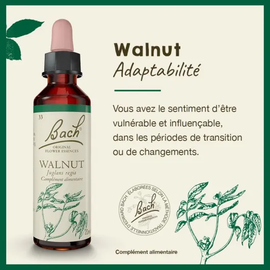 61DI41Mv9dL._AC_SL1000_