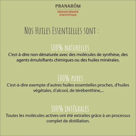 61EZ8LZ6nvL._AC_SL1000_