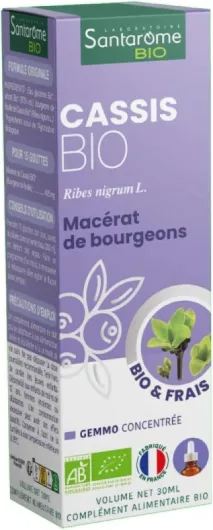 Cassis Bio - Macérat de bourgeons - Bourgeon de Cassis Bio - Bourgeon Frais - Gémmothérapie - Complément alimentaire immunité, antioxydant - Flacon de 30 ml - France Violet 30 ml (Lot de 1)