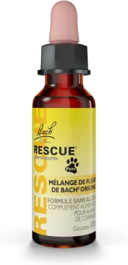 51r7gGl-bYL._AC_SL1500_