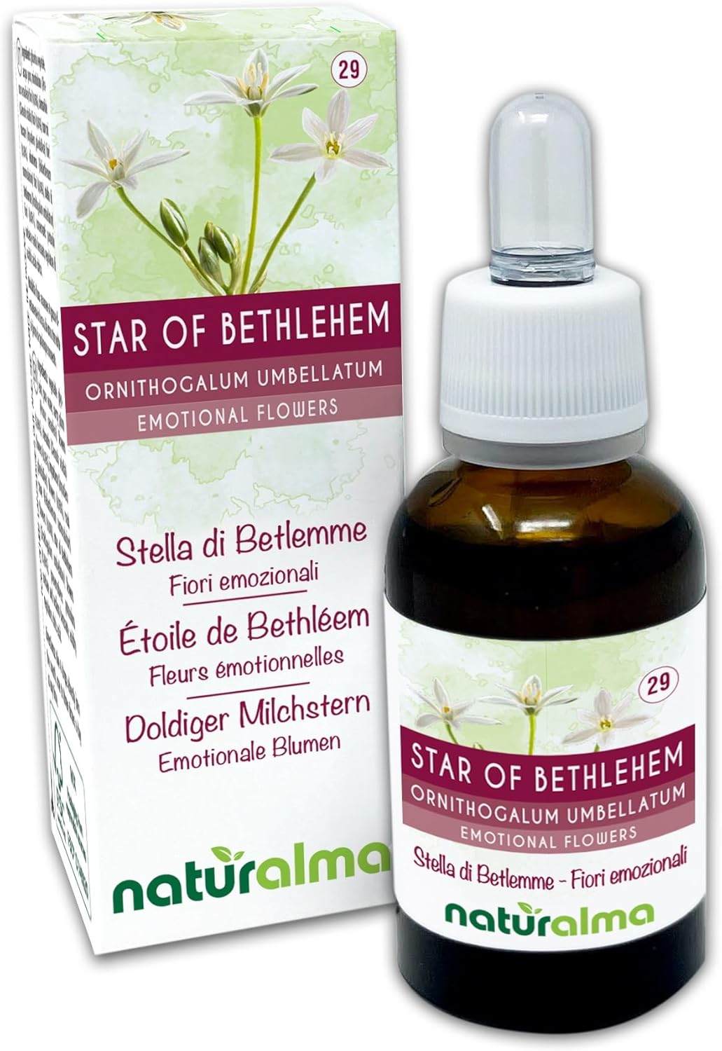 Star of Bethlehem ou Étoile de Bethléem (Ornithogalum umbellatum) Remèdes floraux Naturalma - Gouttes 30 ml - Extrait liquide sans alcool - Essences florales - Vegan et sans alcool