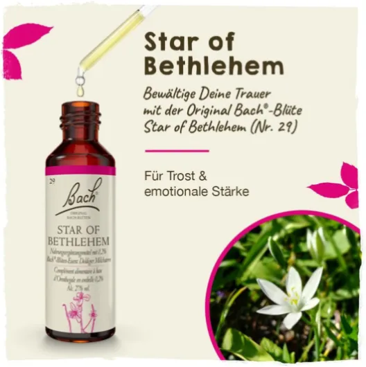 61LbW1dmaPL._AC_SL1000_