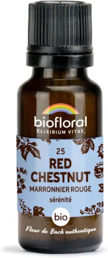 BIOFLORAL - 25 Red Chestnut, Marronnier Rouge BIO - Sérénité - Fleur de Bach Authentique - 470 Granules - Sans Alcool