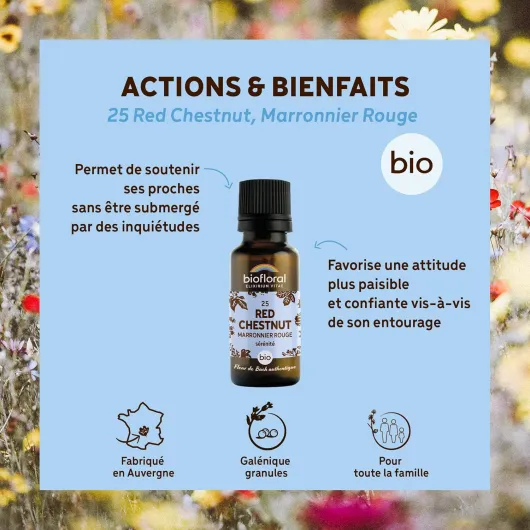 81Co1QS8omL._AC_SL1500_