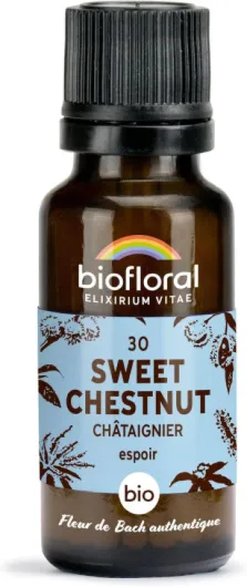 30 Sweet Chestnut, Châtaignier BIO - Espoir - Fleur de Bach Authentique - 470 Granules - Sans Alcool