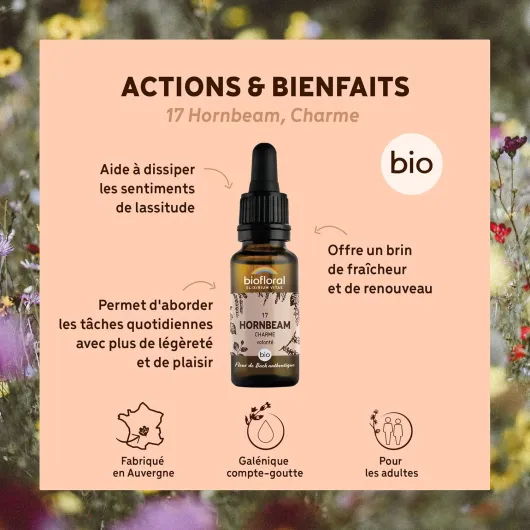 81IDj-GatcL._AC_SL1500_