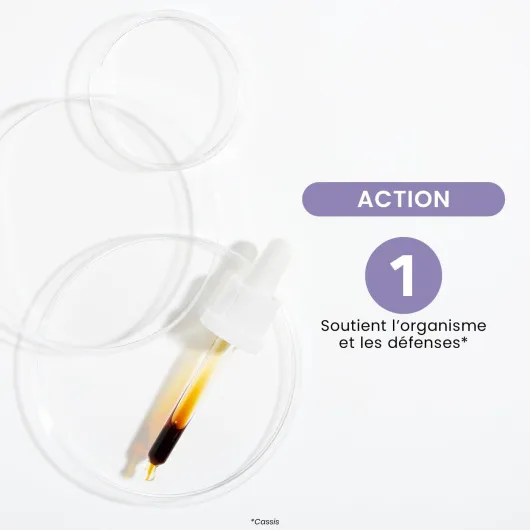 51xb5kbIm5L._AC_SL1400_