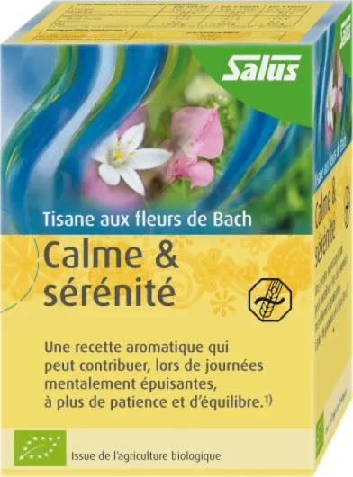 81OuauqDIqS._AC_SL1500_