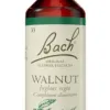Test FLEURS DE BACH ORIGINAL - Walnut No 33 : Un coup de pouce pour les transitions de vie