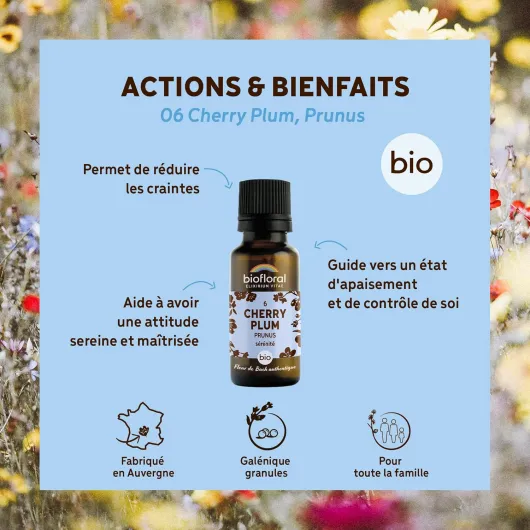 06 Cherry Plum, Prunus BIO - 470 Granules - Sérénité - Fleur de Bach Authentique - Sans Alcool
