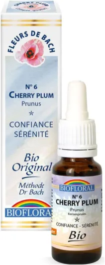 61dXfNd0iGL._AC_SL1000_